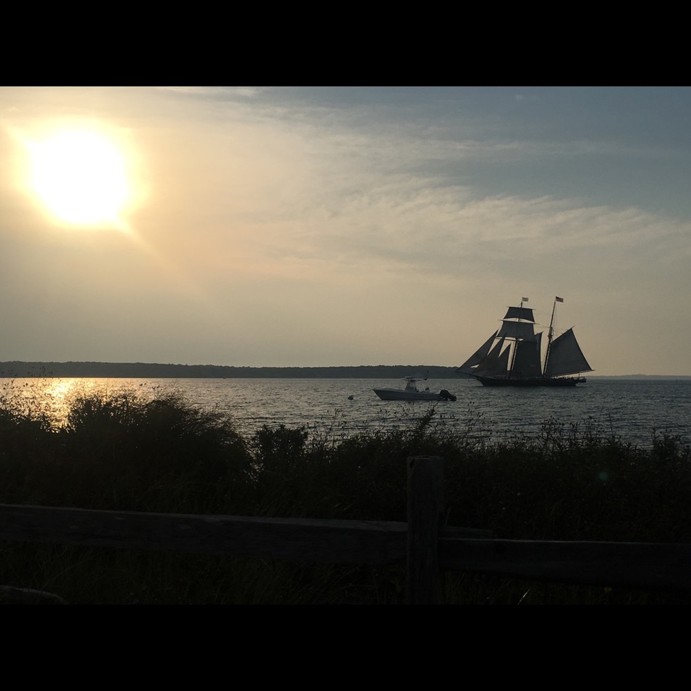 Meet your Posher, Marie